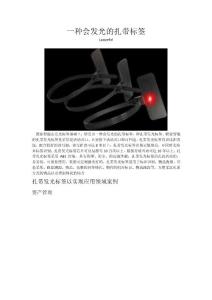 一種會發(fā)光的扎帶標簽