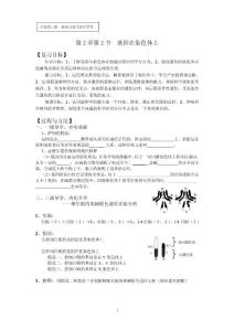 基因在染色体上复习导学案