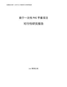 南寧一次性PVC手套項目可行性研究報告（參考模板）
