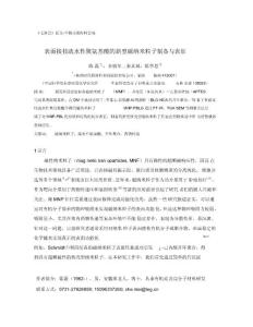 表面接枝疏水性聚氨基酸的新型磁納米粒子制備與表征