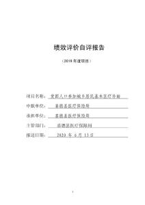 績效評價自評報告