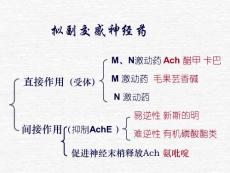 5拟副交感神经药