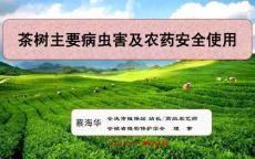 茶樹主要病蟲害及農藥安全使用-蔡海華