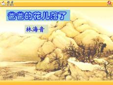 爸爸的花兒落了教學(xué)課件