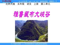 北师大版第九册《雅鲁藏布大峡谷》PPT课件2【最新】