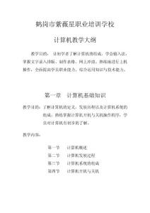 計算機(jī)教學(xué)大綱
