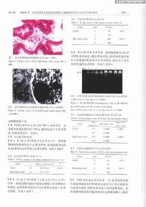 免疫性慢性非細菌性前列腺炎大鼠模型的形態(tài)學(xué)與分子生物學(xué)特性