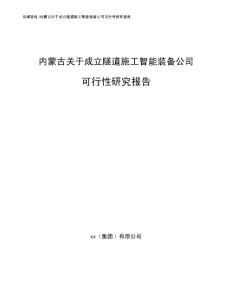 內蒙古關于成立隧道施工智能裝備公司可行性研究報告（模板范文）