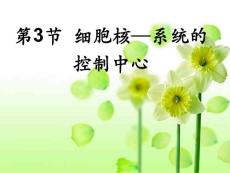 細胞核-系統的控制中心11