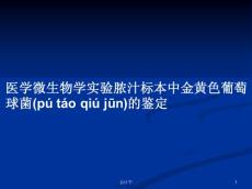 医学微生物学实验脓汁标本中金黄色葡萄球菌的鉴定学习教案