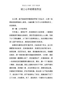 初二心中的牽掛作文