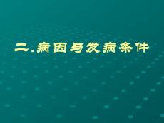 口腔頜面部腫瘤2