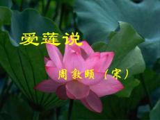 愛蓮說課件