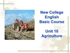 英语教学基础课basic course unit 10