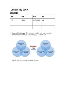 Client Copy  by scc9