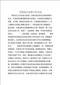 學校綜合治理工作總結 (18)