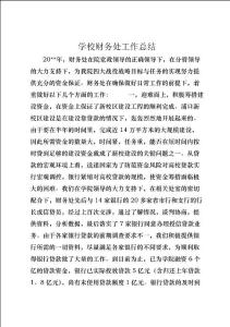 學校財務處工作總結 (10)