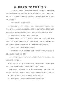 龍山鎮敬老院工作計劃