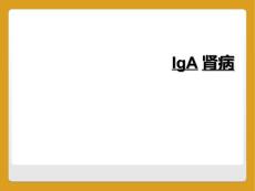 IgA肾病