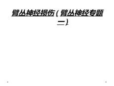 臂丛神经损伤(臂丛神经专题一)