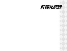 肝硬化病理