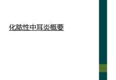 化脓性中耳炎概要