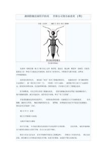 遇到隐翅虫别用手拍死否则可能引起皮炎(图)