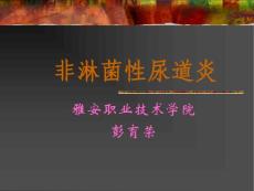 非淋菌性尿道炎v教程文件