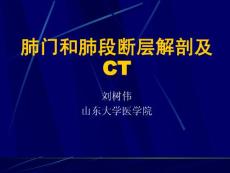 基础医学断层解剖学课件:肺门和肺段断层解剖及CT