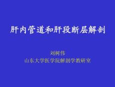 基础医学断层解剖学PPT课件 09 肝内管道和肝段断层解剖