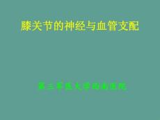 骨外固定技术治疗难治性骨不连与骨缺损ppt课件