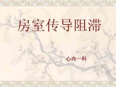 房室传导阻滞ppt课件