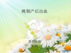 《晚期产后出血》ppt课件