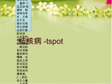 结核病-tspot