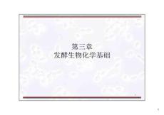 發酵生物化學基礎