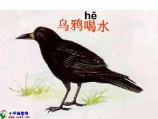 一年级语文下册《乌鸦喝水》PPT课件（北京版）