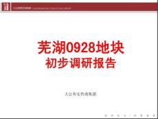 2010年芜湖0928地块初步调研报告