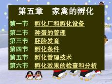 家禽學課件 家禽的孵化