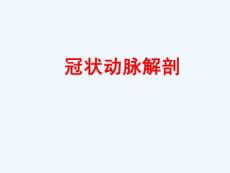 冠状动脉解剖