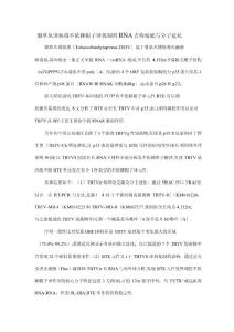 烟草丛顶病毒不依赖帽子翻译机制的rna结构基础与分子进化