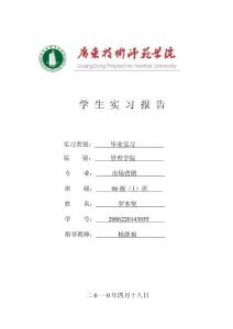 實習報告格式