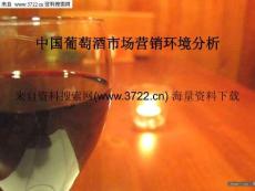 葡萄酒市場營銷環(huán)境分析-微觀及宏觀分析（PPT 17頁）