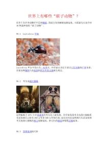 世界上有哪些“瞎子動物”？