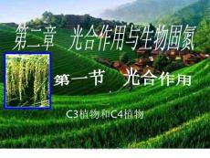 c3植物和c4植物16477 ppt課件