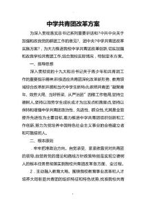 中學(xué)共青團改革方案
