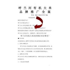 大米品牌推廣及方案