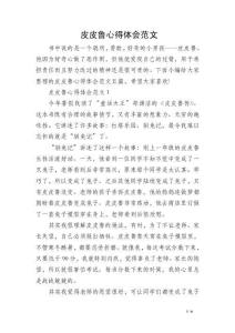 皮皮鲁心得体会范文