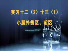 小腿前外侧区解剖及骨延长术课件讲义教材