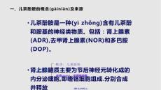 儿茶酚胺实用学习教案学习教案