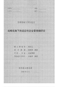 戰(zhàn)略視角下的適應(yīng)性企業(yè)管理熵研究